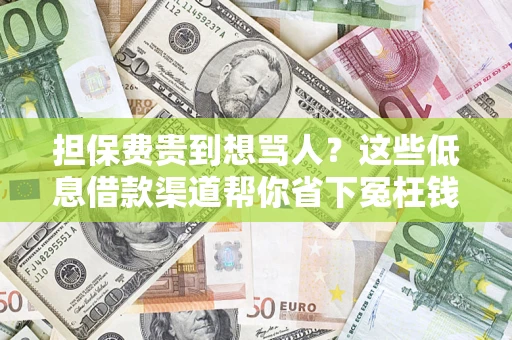 济南担保费贵到想骂人？这些低息借款渠道帮你省下冤枉钱