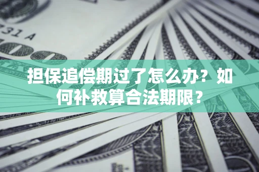 济南担保追偿期过了怎么办？如何补救算合法期限？