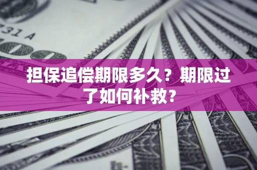 济南担保追偿期限多久？期限过了如何补救？