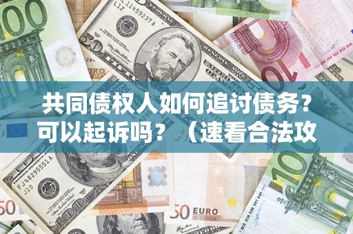 济南共同债权人如何追讨债务？可以起诉吗？（速看合法攻略）